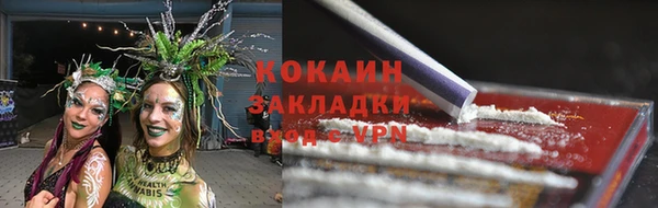 СК Дмитровск