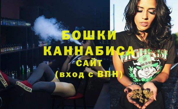 СК Дмитровск