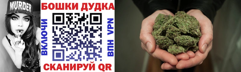 МАРИХУАНА SATIVA & INDICA  Купить закладки  Называевск 